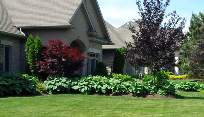 front of residential home with beautiful lawn and trees